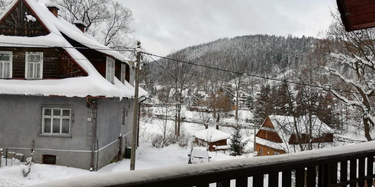 Comfortstudio Zakopane Eksteriør billede