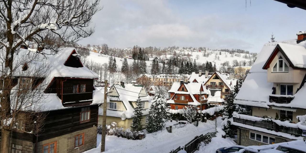 Comfortstudio Zakopane Eksteriør billede