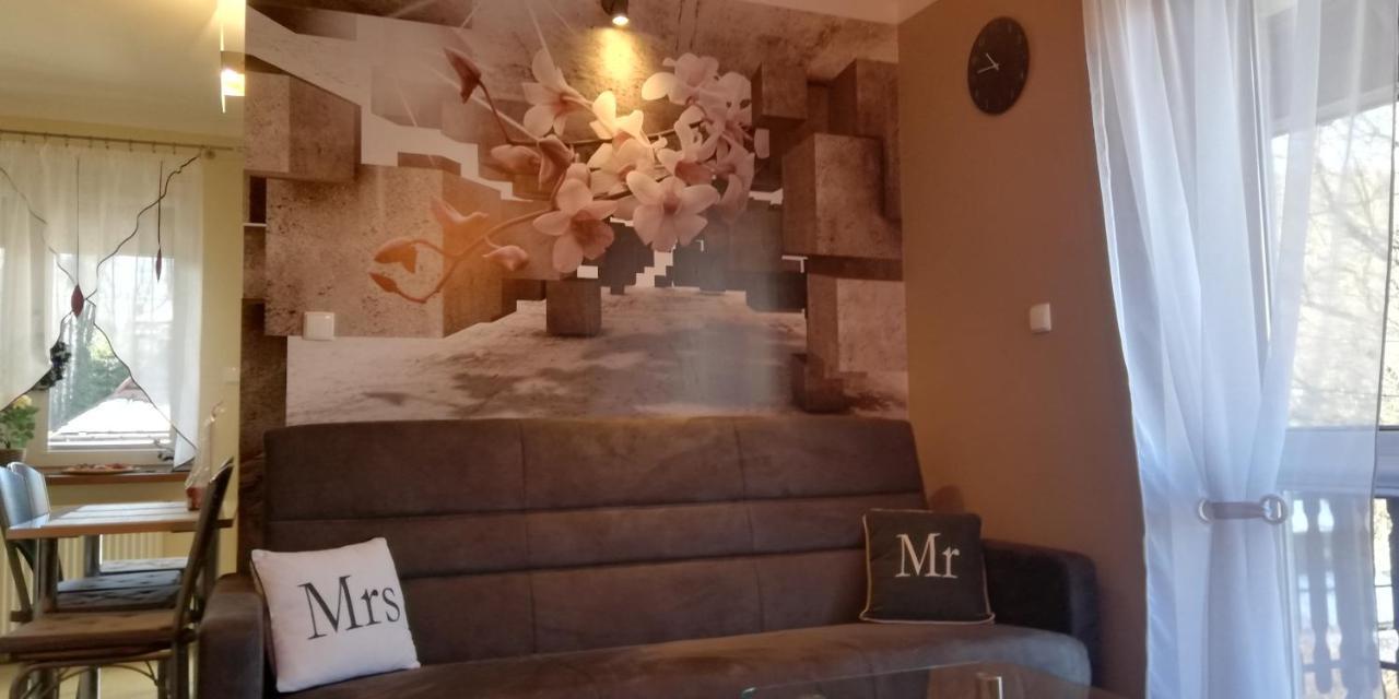 Comfortstudio Zakopane Eksteriør billede