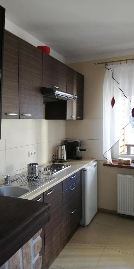 Comfortstudio Zakopane Eksteriør billede