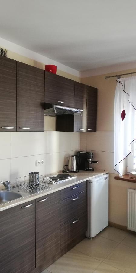 Comfortstudio Zakopane Eksteriør billede